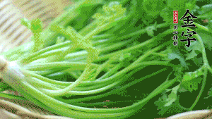 挑選鮮嫩的香菜，洗干凈后，處理成小段。