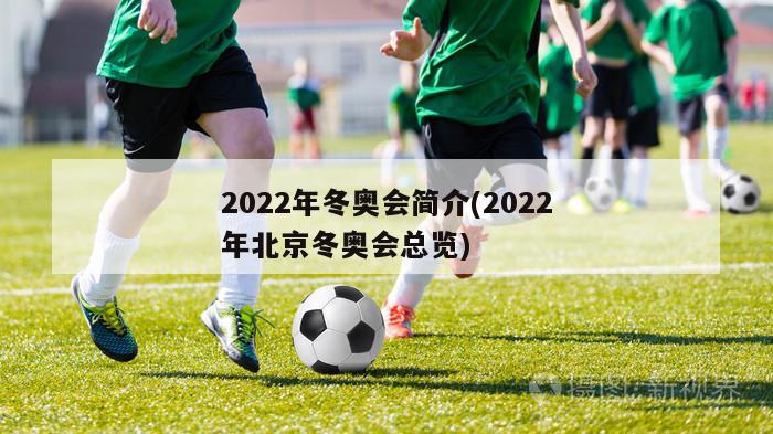 2022年冬奥会简介(2022年北京冬奥会总览)